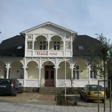 Waldrose * Sellin (Rugen)