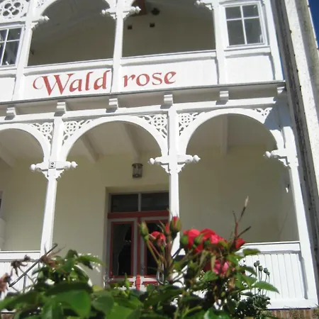 Waldrose Sellin (Rugen)