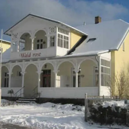 Waldrose * Sellin (Rugen)