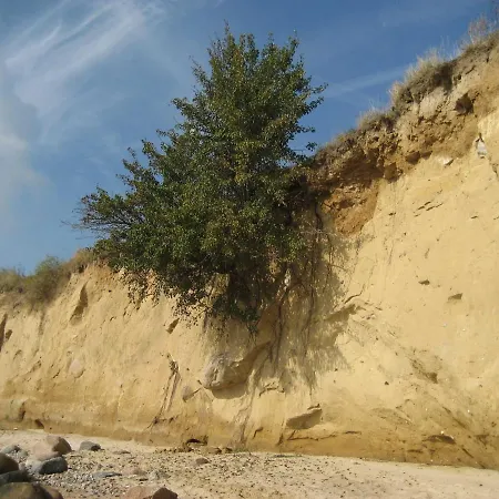 Appartement Waldrose