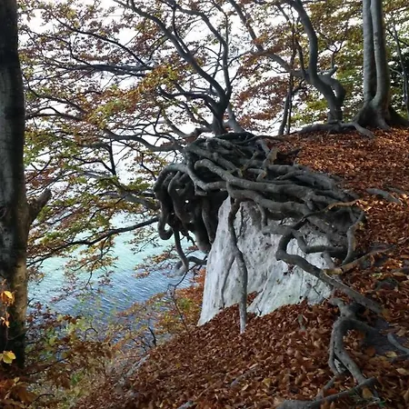 Waldrose Appartement